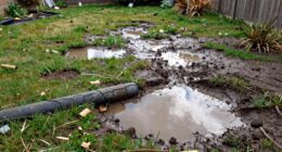addressing yard drainage issues