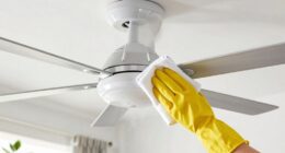 effective ceiling fan cleaning