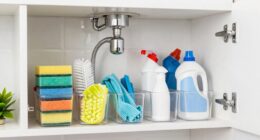 kitchen sink organization