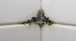 moisture and poor ventilation