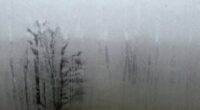 moisture buildup on windows