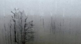 moisture buildup on windows