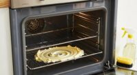 natural oven cleaning method