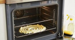 natural oven cleaning method