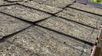 signs of roof damage