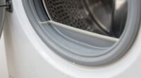 stop mold in washer