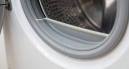 stop mold in washer