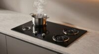 top 13 induction cooktops
