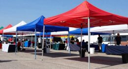 top heavy duty canopies