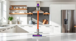 Dyson Filters: Compatibility & Buying Guide for 2024