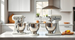 KitchenAid Artisan vs Professional 600: Full Comparison