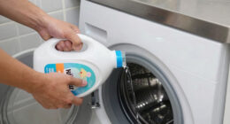 8 Best Fragrance-Forward Laundry Detergents in 2026