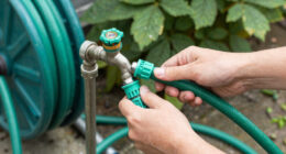 Hose Pipe Ban
