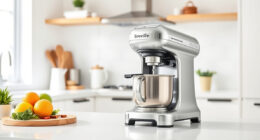 Breville Bambino Plus Troubleshooting & Maintenance Guide