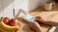 12 Best Plug-In Flying Insect Traps for 2026