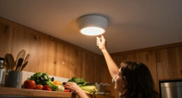 14 Best Flush Ceiling Lights for 2027