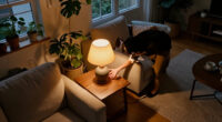 15 Best Home Lighting Products for Smarter, More Comfortable Rooms in 2027