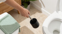15 Best Stylish Toilet Brushes for a More Polished Bathroom in 2027