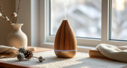 AROMADD Smart Scent Diffuser: A Winter Deal Watch