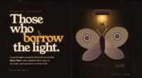Mothlight — A Porch-Light Census (FABLE/175)