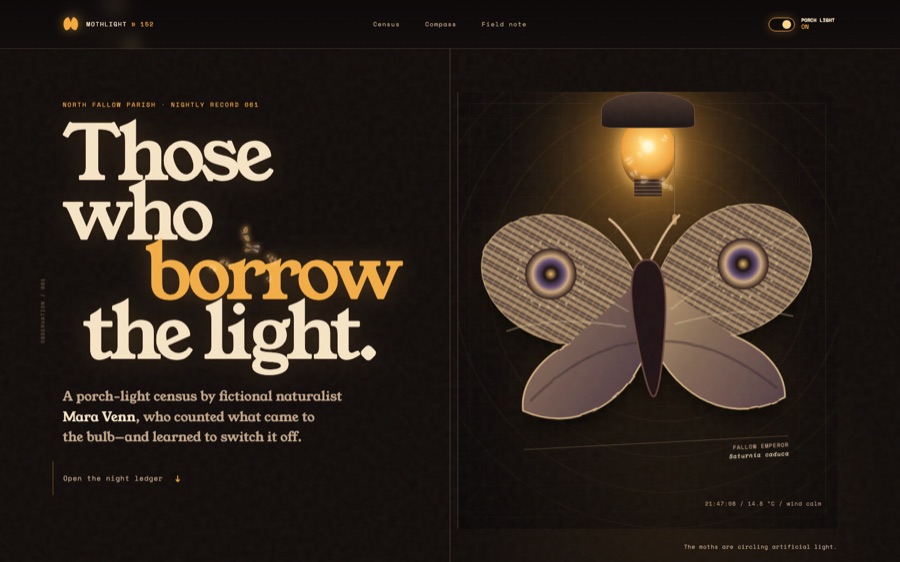 Mothlight — A Porch-Light Census