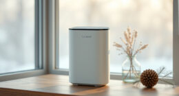 Levoit Core Mini-P Review: A Small Winter Air Helper