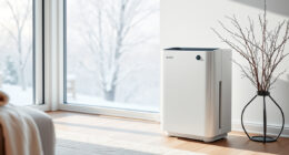Winter Care for the Winix 5510 Air Purifier