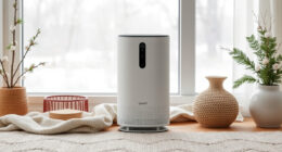Winter Care Guide for the Levoit Core 300-P Air Purifier